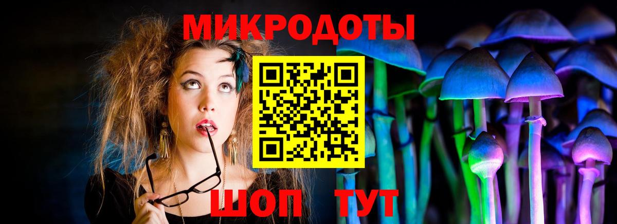 Галлюциногенные грибы прущие грибы  Вход с VPN  Электрогорск 